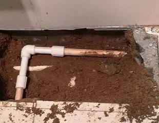 万全测漏水哪家好