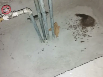 万全卫生间测漏水价格明细